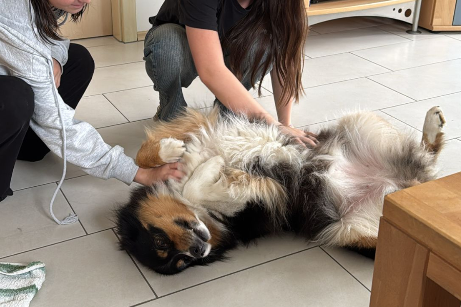 Meine beiden Töchter beim Kuscheln mit Nova.