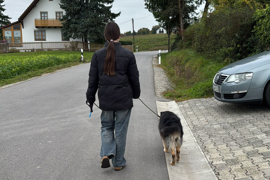 Meine Tochter mit Nova beim Gassi Gehen.