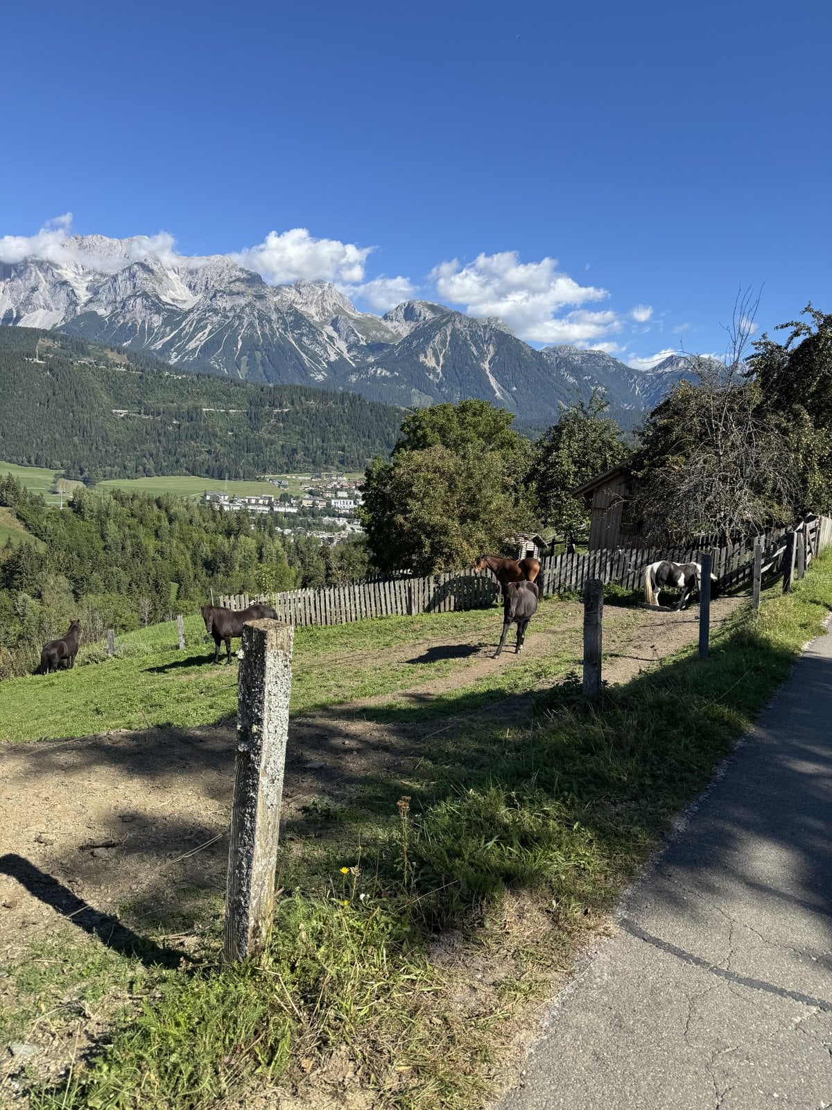 Wanderweg mit Bergpanorama und blauem Himmel oberhalb von Schladming