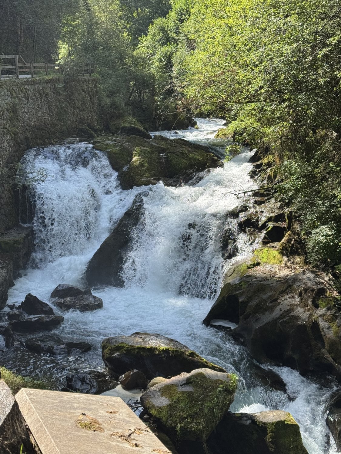 Wasserfall über bemooste Felsen im Wald bei einer Wanderung rund um Schladming